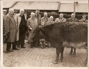 WilliamWildmanBenthamAuctionXmasSale1953